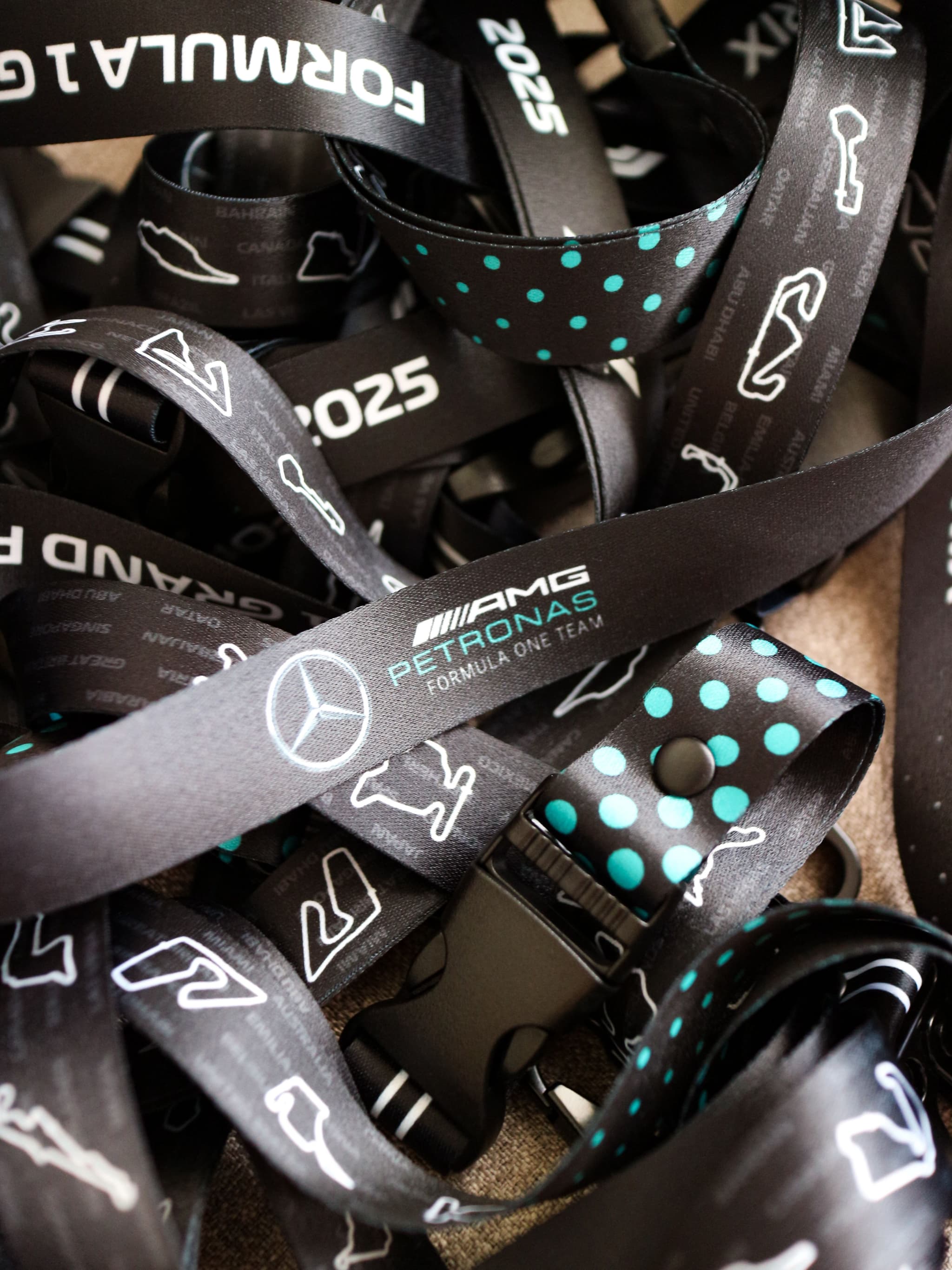 AMG Petronas Formula 1 Team Lanyard